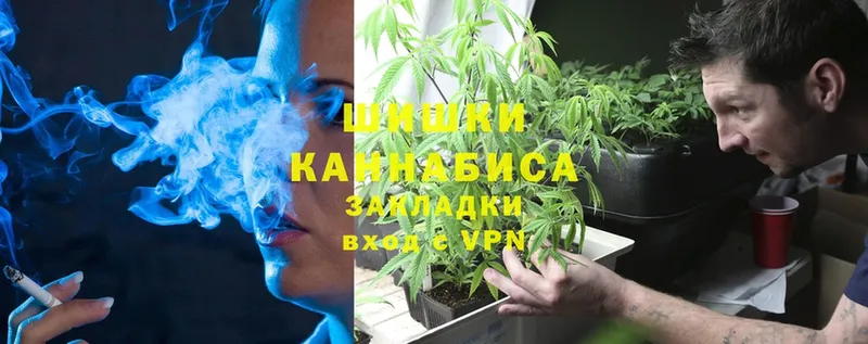 Бошки марихуана SATIVA & INDICA  продажа наркотиков  Емва 